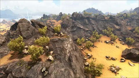 Bright Lion Edge