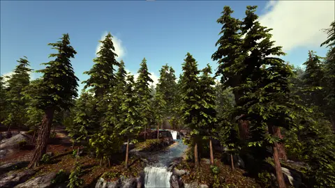 Darkfern Forest