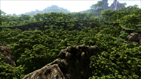 Gloom Grove