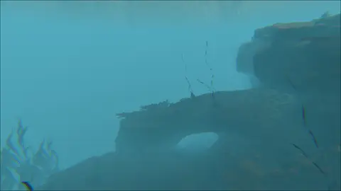 Gloomy Ocean