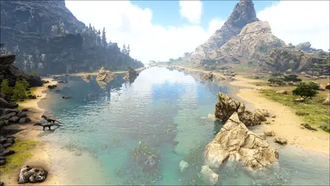 Kortez Narrow