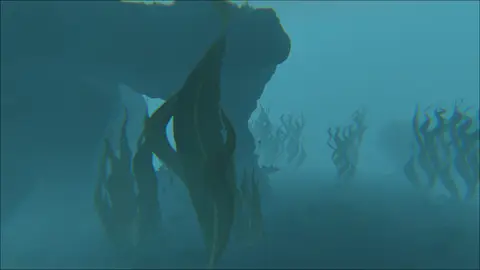 Lion's Tail Sea