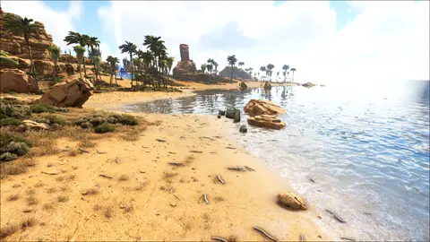 Lion Tail Beach