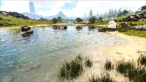 Pesky Pond