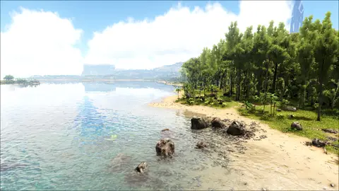 Saber Coast