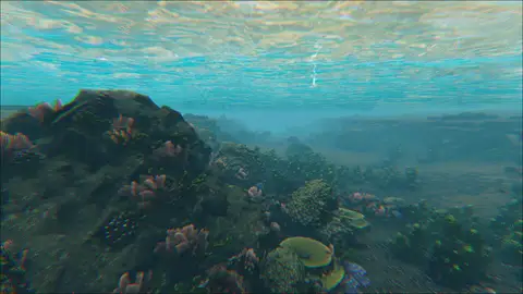 Saber Reef