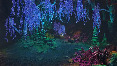 Shoola Falls Cave