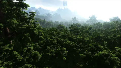 Shoola Jungle