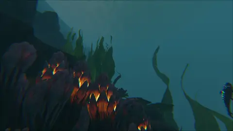 The Lost Sea