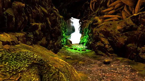 The Twisted Vine