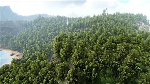 Tumash Jungle