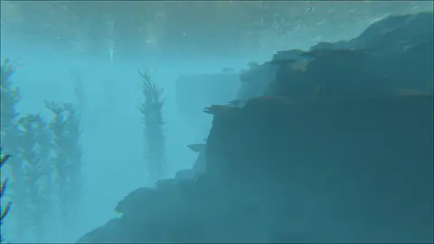 Tumash Sea