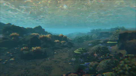 Turtle Reef