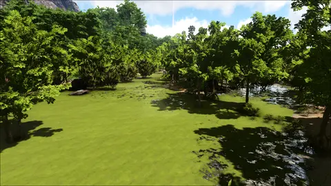 Turtleback Swamp