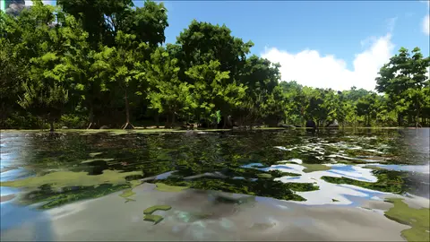 Turtlehead Swamp