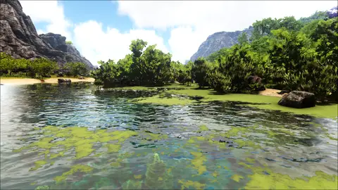 Turtleshell Groves