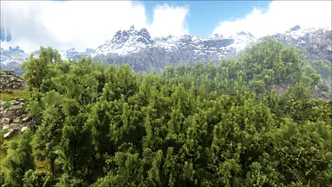 Udal Jungle