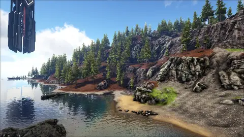 Coastal Redwoods