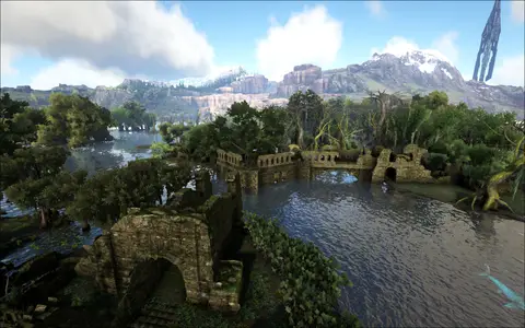Northern Swamp