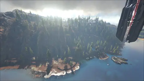 Redwoods