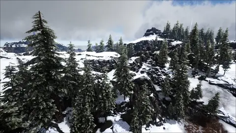 Snow Forest