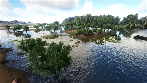 Swamp of the Damned