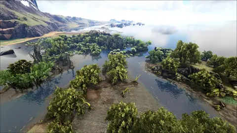 Swamp