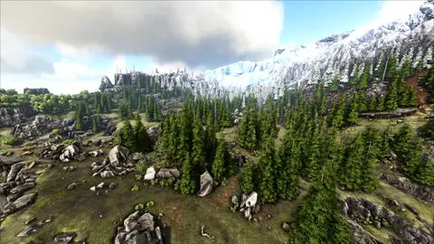 Twoshuk Forest
