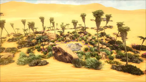 Oasis Dunes