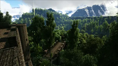 Jungle