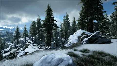 Schwarzwald