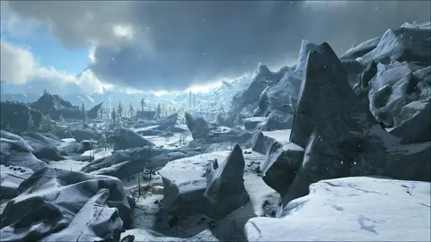 Snow Desert