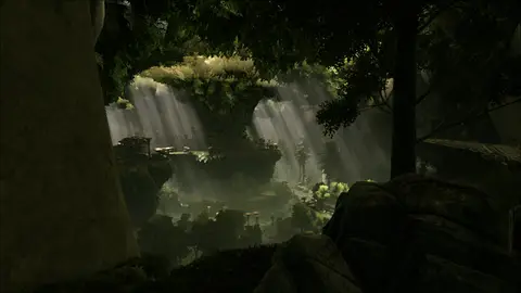 The Emerald Forest