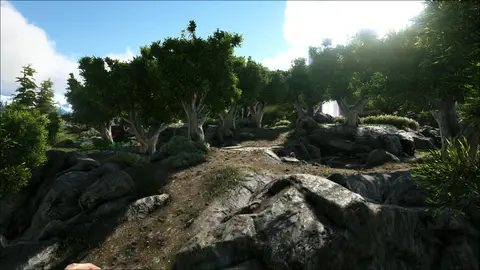 The Farm