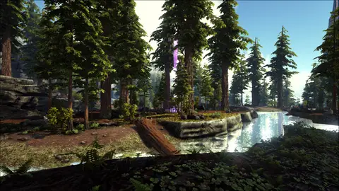 The Island