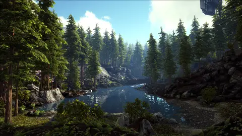 The Redwoods