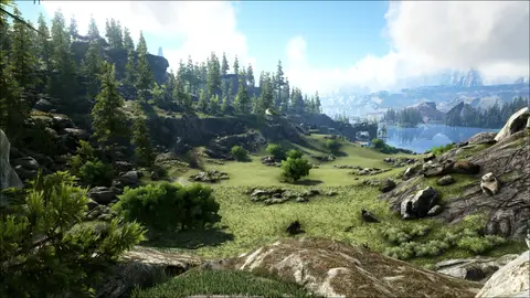 The Valley