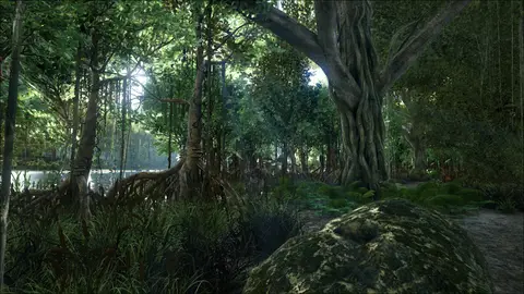 Urwald Swamp